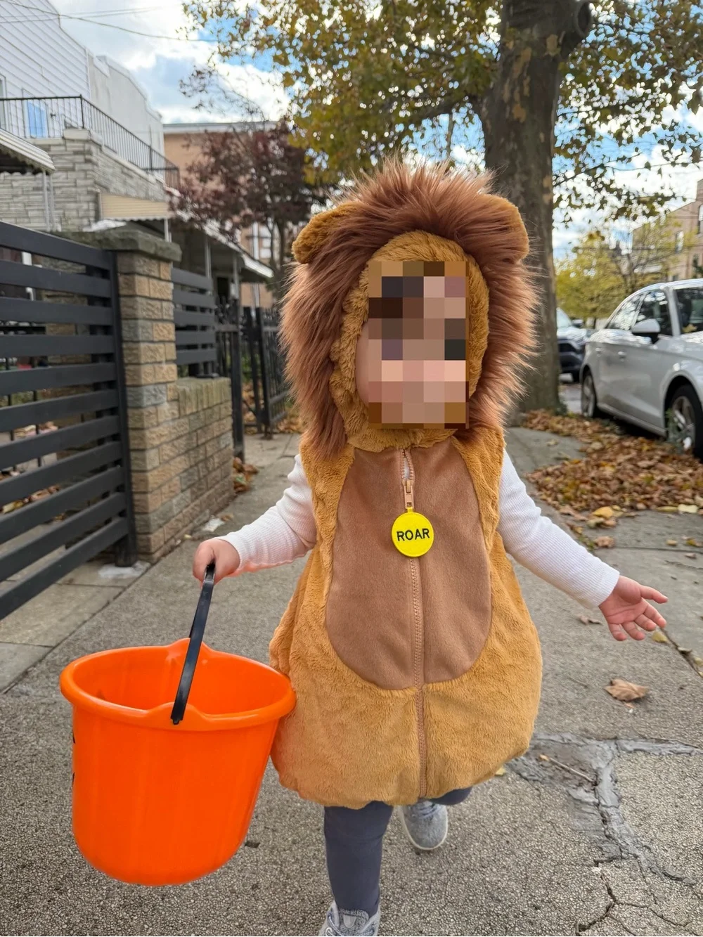 Toddler 12M - 18M Lion Costume